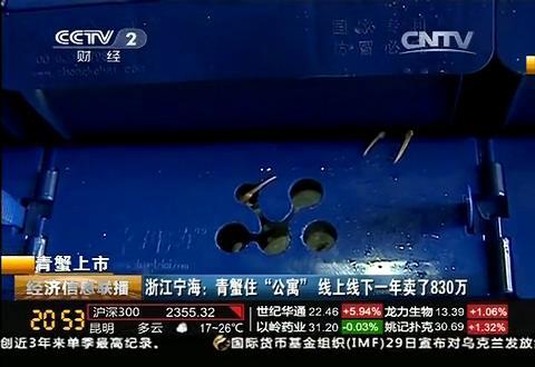 蟹公寓 14周年!---室内立体养蟹开创者! 图片关键词