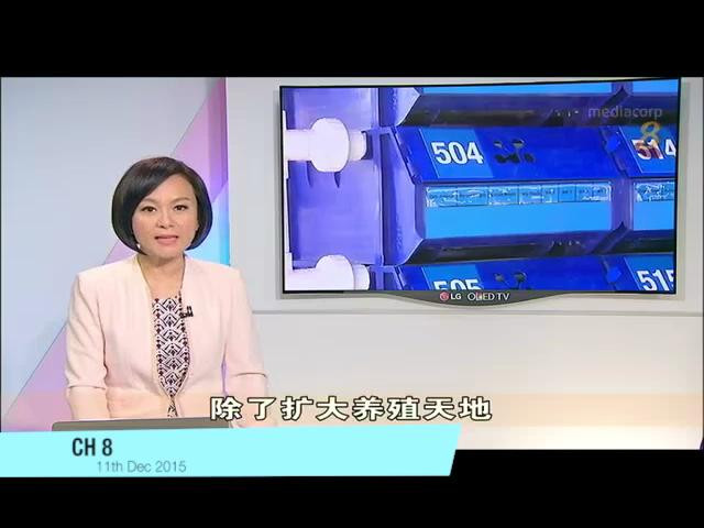 图片关键词 图片关键词