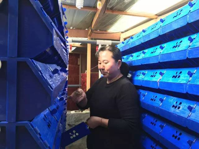 图片关键词 图片关键词