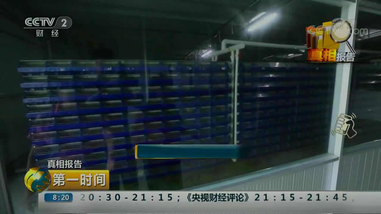 蟹公寓---室内立体养蟹开创者! 蟹公寓---室内立体养蟹开创者!