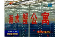 新疆卫视 新闻联播 报道中科海蟹公寓-20180115