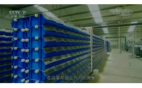 CCTV-7鲜味的秘密2--软壳蟹--蟹公寓客户陈总的故事