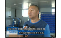 "盒子养蟹"成为致富新思路--新疆阿勒泰电视台20170917新闻
