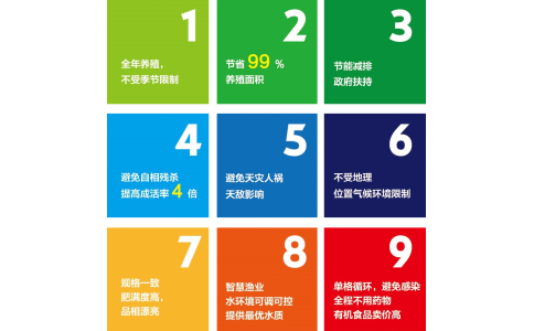 蟹公寓----室内立体循环水养蟹设备