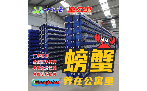 蟹公寓----室内立体循环水养蟹设备