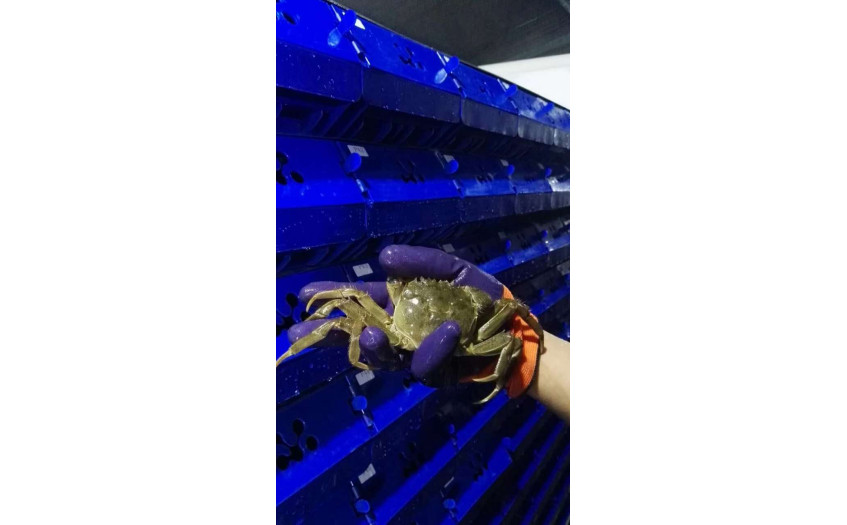 江苏 兴化客户